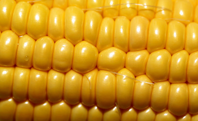 Similar image 6444660