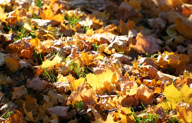 Similar image 6444663