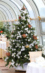 Similar image 6444678