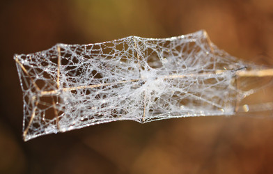 Similar image 6444688