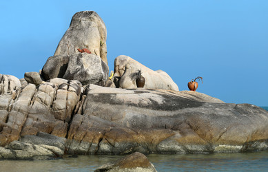 Similar image 6444690