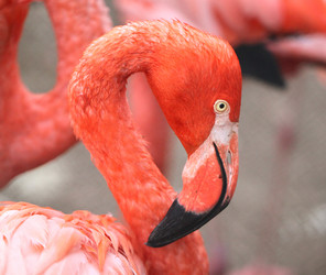 Similar image 6444706