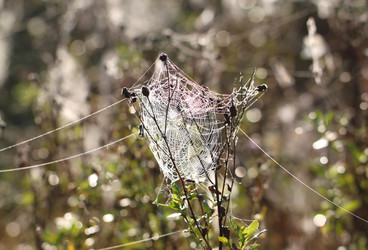 Similar image 6444708