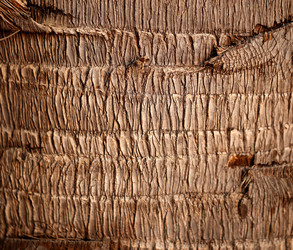 Similar image 6444713