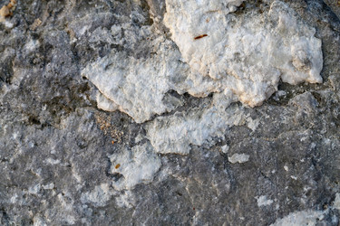 Similar image 6444714