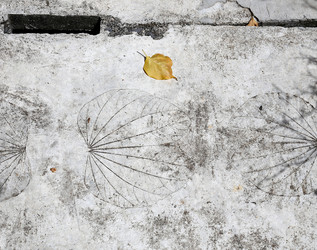 Similar image 6444727