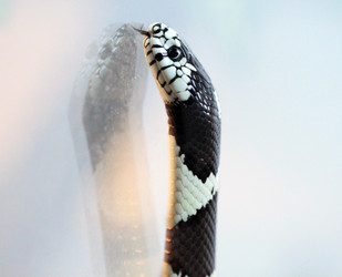 Similar image 6444739