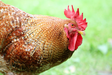 Similar image 6444745