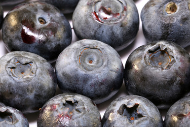 Similar image 6444746