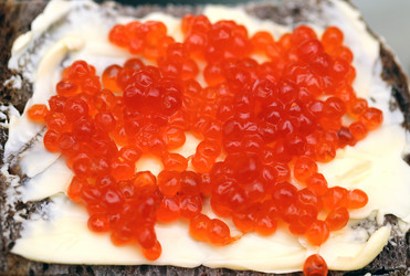 Similar image 6444749