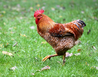 Similar image 6444754