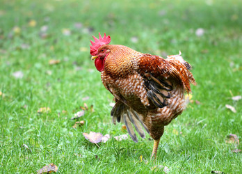 Similar image 6444756