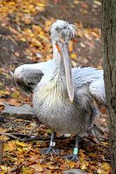 Similar image 6444758