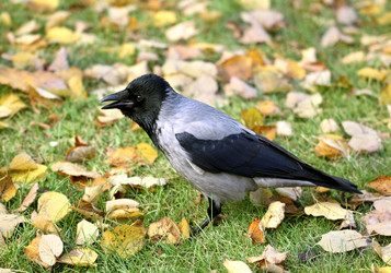 Similar image 6444759