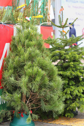 Similar image 6444765