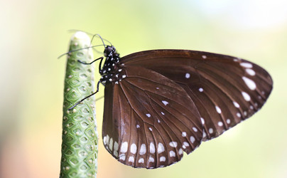 Similar image 6444780