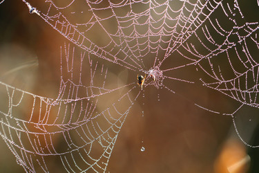 Similar image 6444784