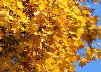 Similar image 6444813