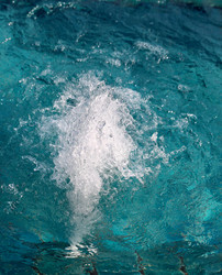 Similar image 6444820