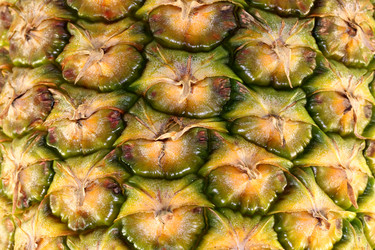 Similar image 6444834