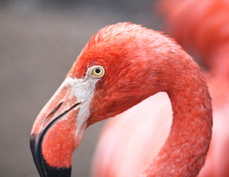 Similar image 6444836