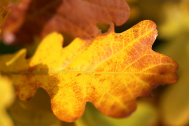 Similar image 6444841