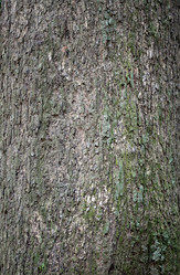 Similar image 6444843