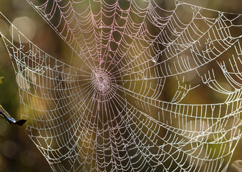 Similar image 6444853