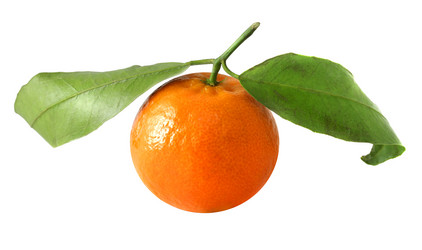 Similar image 6444856