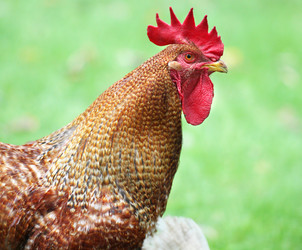 Similar image 6444878