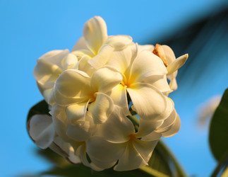 Similar image 6444890