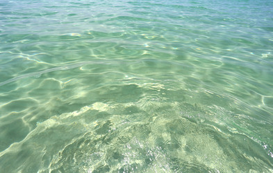 Similar image 6444896