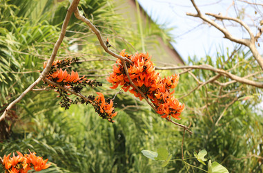 Similar image 6444897