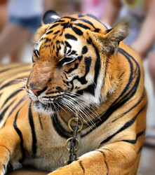 Similar image 6444917