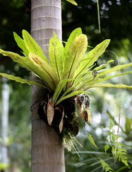 Similar image 6444920