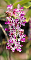 Similar image 6444925