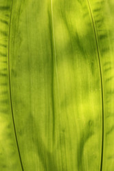 Similar image 6444926