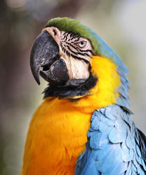 Similar image 6444928