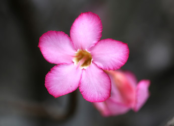 Similar image 6444929