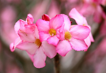 Similar image 6444932