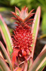 Similar image 6444934