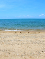 Similar image 6444937