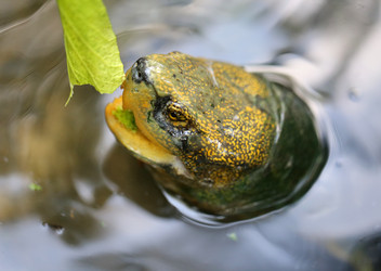 Similar image 6444939