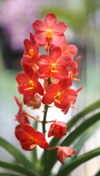 Similar image 6444940