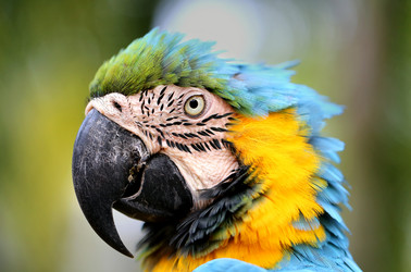 Similar image 6444941