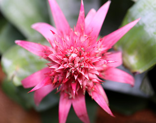 Similar image 6444942