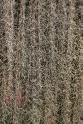 Similar image 6444944