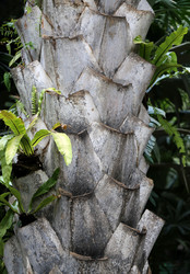 Similar image 6444947