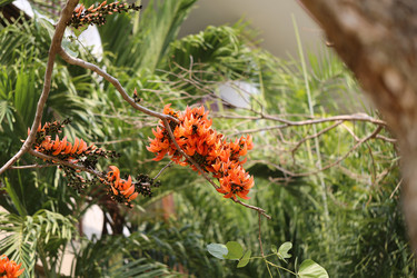 Similar image 6444948