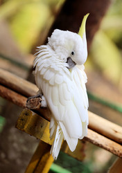 Similar image 6444954